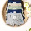 Pack de Boxers para Menino – Conforto e Qualidade gallery image Pack de Boxers para Menino – Conforto e Qualidade
